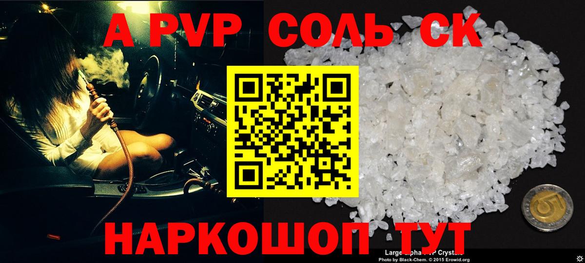 Альфа ПВП СК Новодвинск
