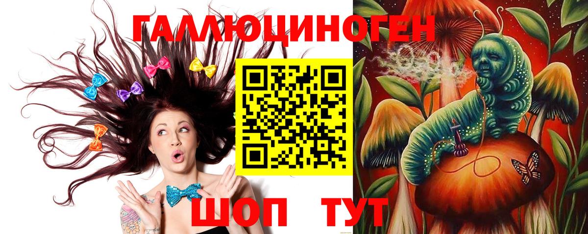 купить   Вход с VPN  Новодвинск  Галлюциногенные грибы Cubensis 