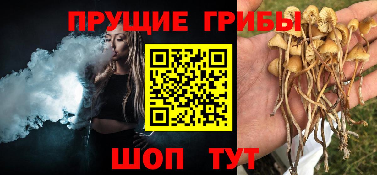 Псилоцибиновые грибы ЛСД Новодвинск